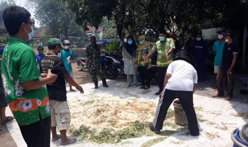 Olah Limbah Bunga Sedap Malam Di Pasuruan, Limbah Bunga Sedap Malam Diolah Jadi Pakan Ternak Alternatif
