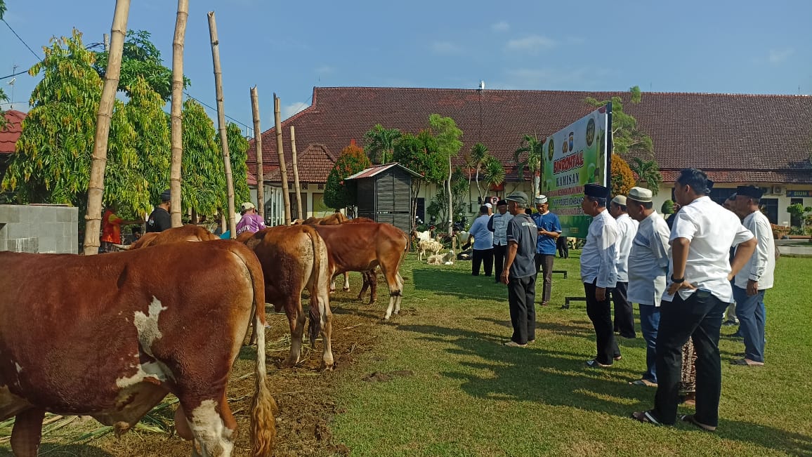 Kambing dan Sapi-sapi Kurban Polres Jombang Dibagikan Pada Iduladha 2023, Semoga Berkah!
