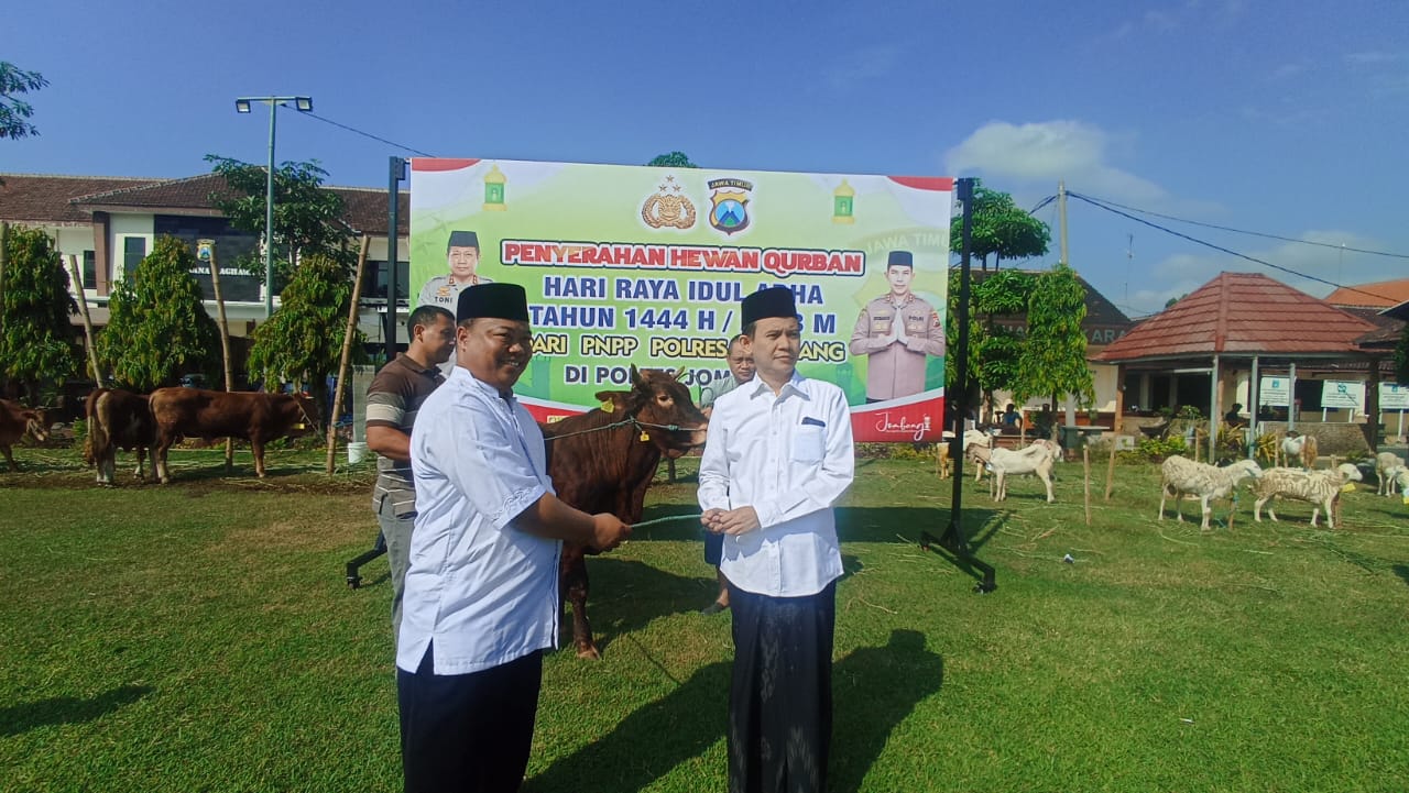 Kambing dan Sapi-sapi Kurban Polres Jombang Dibagikan Pada Iduladha 2023, Semoga Berkah!