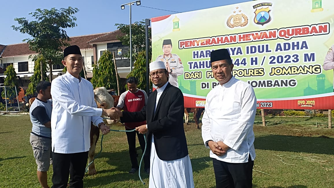 Kambing dan Sapi-sapi Kurban Polres Jombang Dibagikan Pada Iduladha, Semoga Berkah!