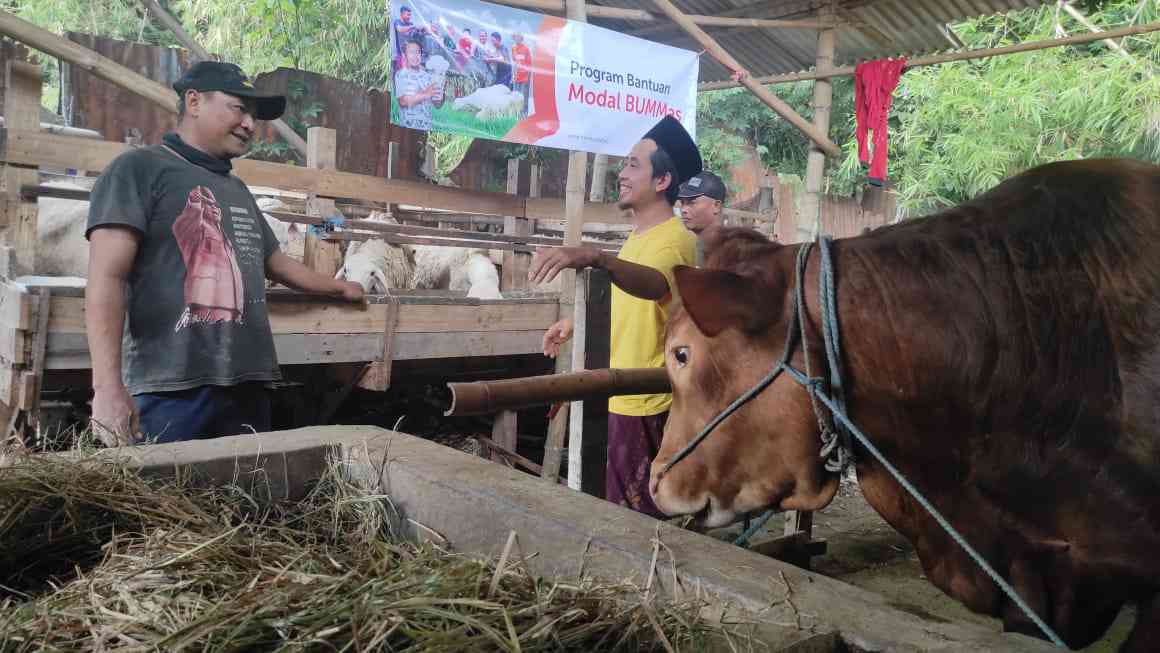 Permintaan Kambing Kurban Idul Adha 2023 di Jombang Meningkat, Harga Turut Terkerek