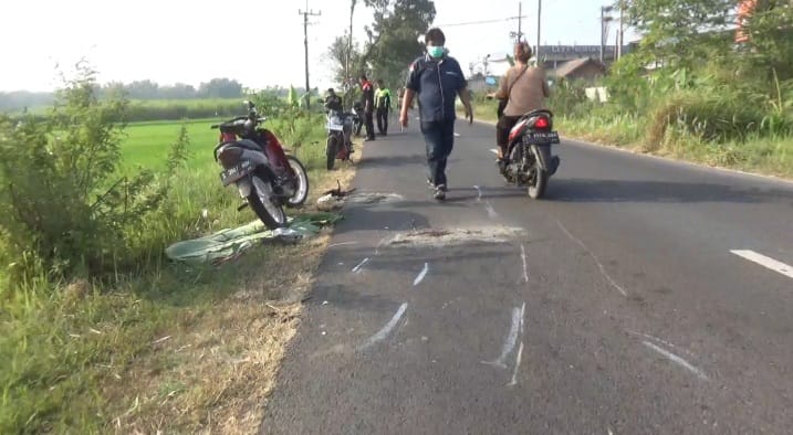 Kecelakaan Maut di Kertorejo Jombang, 2 Orang Tewas di Jalan Raya, 1 Tercebur Sawah