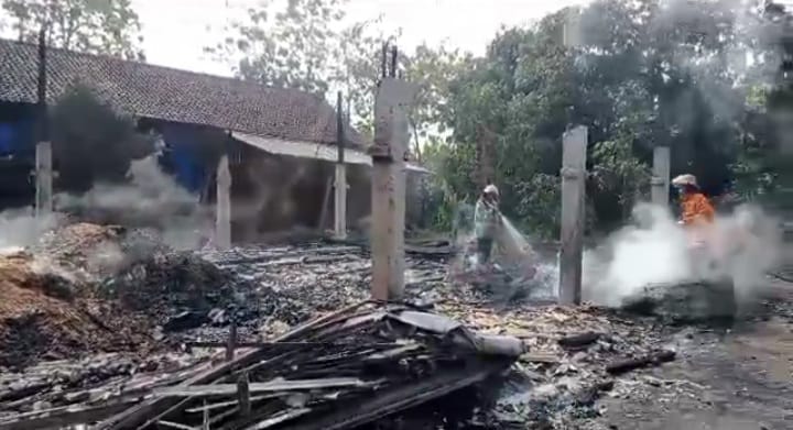 Kebakaran Kandang Ayam di Jombang, 27.000 Ekor Gosong, Kerugian Rp2 Miliar