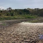 Kekeringan Menghantui, Embung Desa di Jombang Mulai Mengering