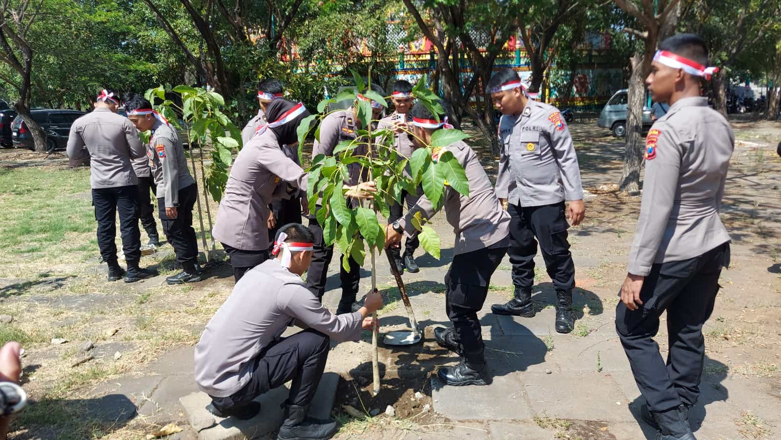 Sambut Asean Ministerial Meeting, Polisi Tanam Ribuan Pohon Cantik di Surabaya