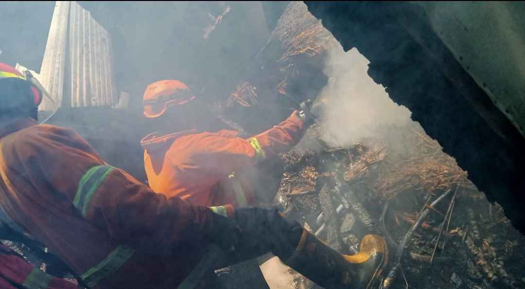 Satu Ekor Sapi dan 4 Kambing di Kandang Milik Warga Jl Mayjen Sutoyo Nganjuk Terbakar