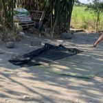 Digerebek Polisi, Penjudi Sabung Ayam di Mojokerto Kabur ke Kebun Tebu