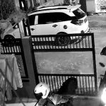 Pencuri Motor di Jombang Terekam CCTV, Ada Barang Pelaku yang Tertinggal