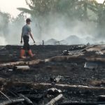 Kebakaran Hanguskan Kandang Ayam di Jombang, 8 Ribu Nyawa Melayang