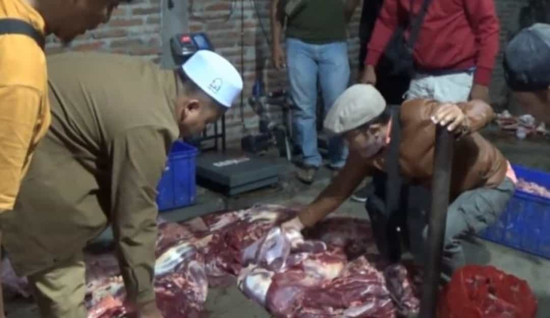 Praktik Gelonggong Sapi di Magetan Terbongkar, Pemilik Usaha Ditangkap