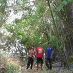 Penampakan Kebun Bambu Lokasi Balita Disengat Tawon Hingga Meninggal di Jombang
