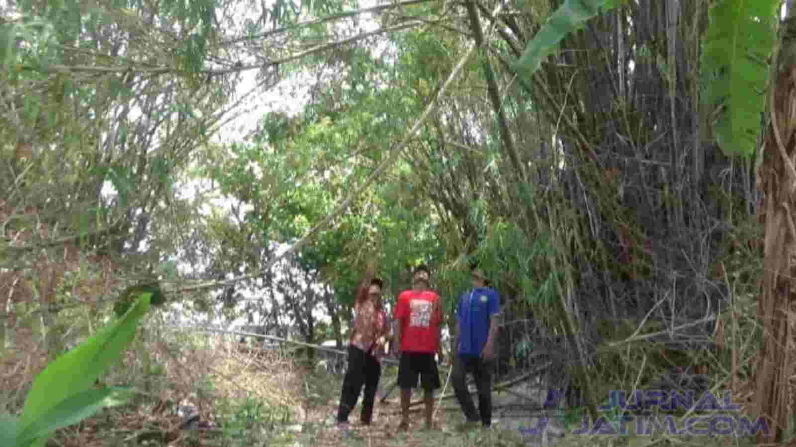 Penampakan Kebun Bambu Lokasi Balita Disengat Tawon Hingga Meninggal di Jombang