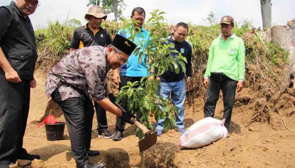 Kolaborasi Penanaman Bibit Pohon di Wisata Kampung Kopi Pasuruan