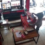 Ponsel Kasir Kedai Ayam Geprek di Jombang Digasak Maling, Pelaku Terekam CCTV