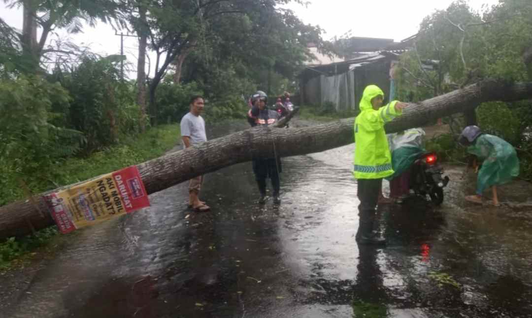 Angin Kencang Terjang Tulungagung, Sejumlah Pohon Tumbang di Jalan, Lima Rumah Rusak