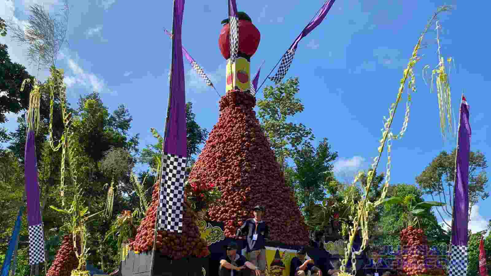 Tumpengan Manggis di Jombang, 2.024 Kilogram Buah Dibagikan Gratis