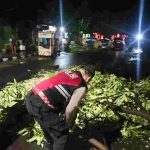 Pohon Tumbang di Jalur Mudik Jl Urip Sumoharjo Kediri Dievakuasi, Pemudik Lancar