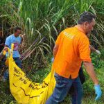 Warga Kediri Ditemukan Tergeletak Tanpa Celana Dalam di Lahan Tebu Jombang, Nahas