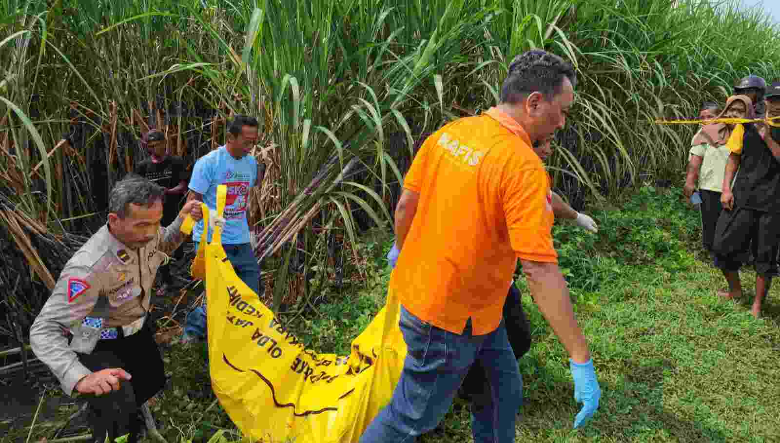 Warga Kediri Ditemukan Tergeletak Tanpa Celana Dalam di Lahan Tebu Jombang, Nahas