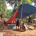 Tiga Lokasi Judi Sabung Ayam di Nganjuk Didatangi Polisi, Ini Hasilnya