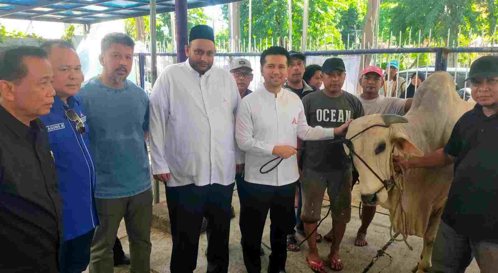 Partai Demokrat Jatim Sembelih 15 Ekor Sapi dan Kambing, Daging Disebar di Surabaya