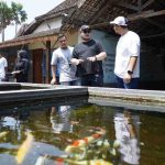 Produsen Terbesar di Jatim, Koi jadi Ikan Hias Identiknya Kabupaten Kediri