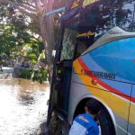 Sopir Kaget Hindari Sesuatu, Brakk! Bus Berpenumpang Tabrak Pohon di Jombang