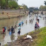 Warga Serbu Kali Gunting Jombang, Berburu Ikan Mabuk