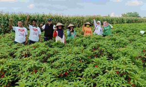 Dukungan Bertambah Jelang Coblosan Pilbup Jombang, Mundjidah-Sumrambah Makin Solid