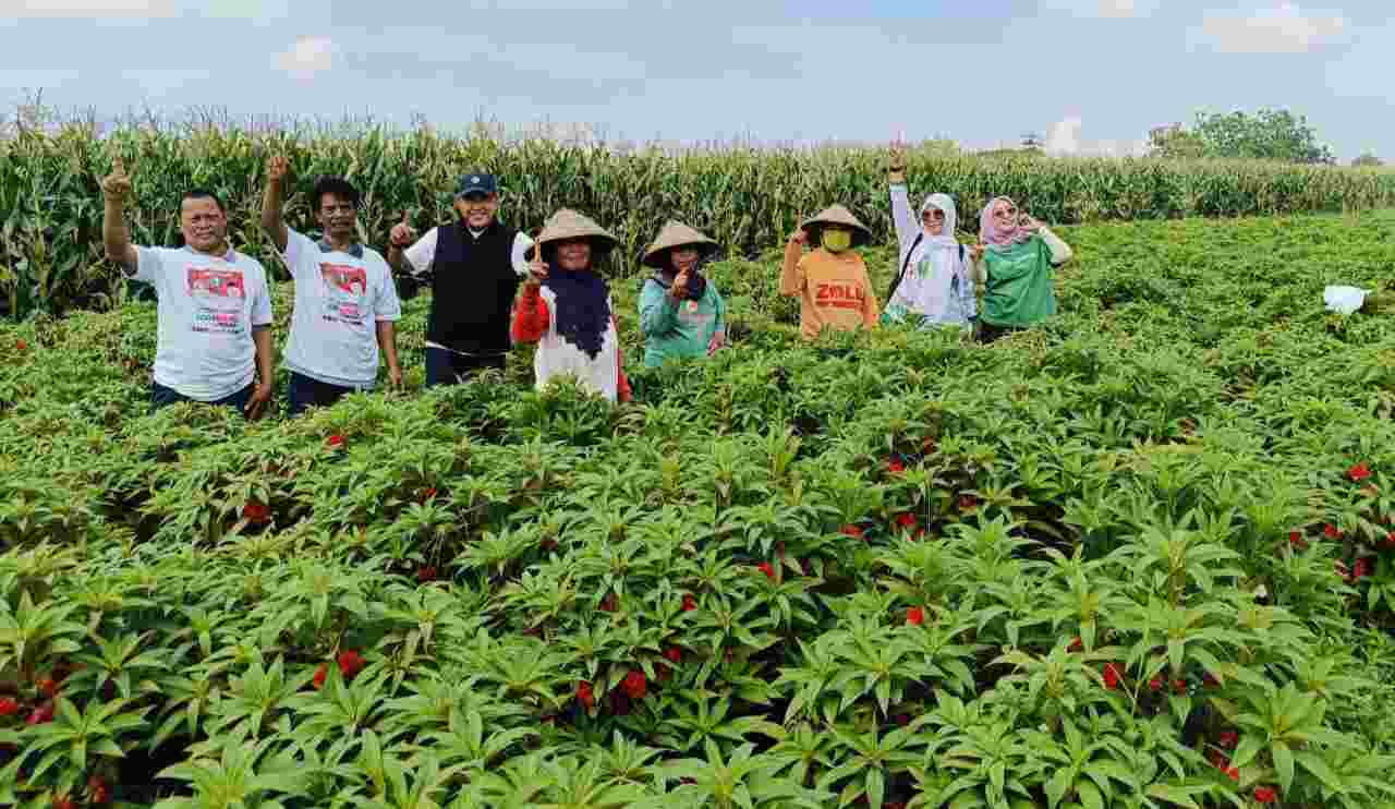 Dukungan Bertambah Jelang Coblosan Pilbup Jombang, Mundjidah-Sumrambah Makin Solid