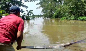 Pemuda di Jombang Hilang Terseret Sungai Watudakon saat Selamatkan Benih Padi