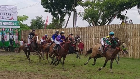 Jaring Atlet Berkuda, Ratusan Kuda se Jatim Ikuti Pacuan Kuda di Kediri