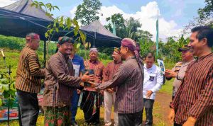 Kolaborasi Apik PWI Jombang, DLH dan Desa Pakel Tanam Pohon Lestarikan Lingkungan