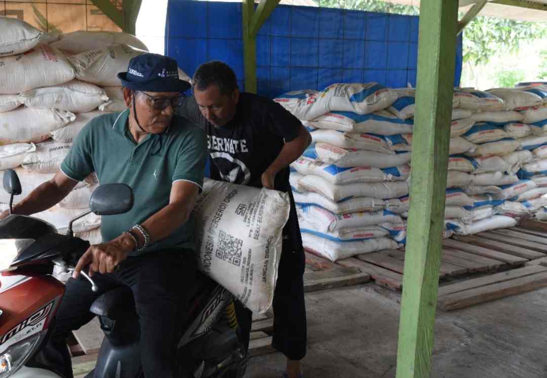 Petani Sakit Tak Perlu Khawatir, Begini Cara Mudah Menebus Pupuk Bersubsidi