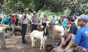 Polisi Lalu Lintas Mendadak Datangi Pasar Hewan di Mojoroto Kediri, Ngapain?