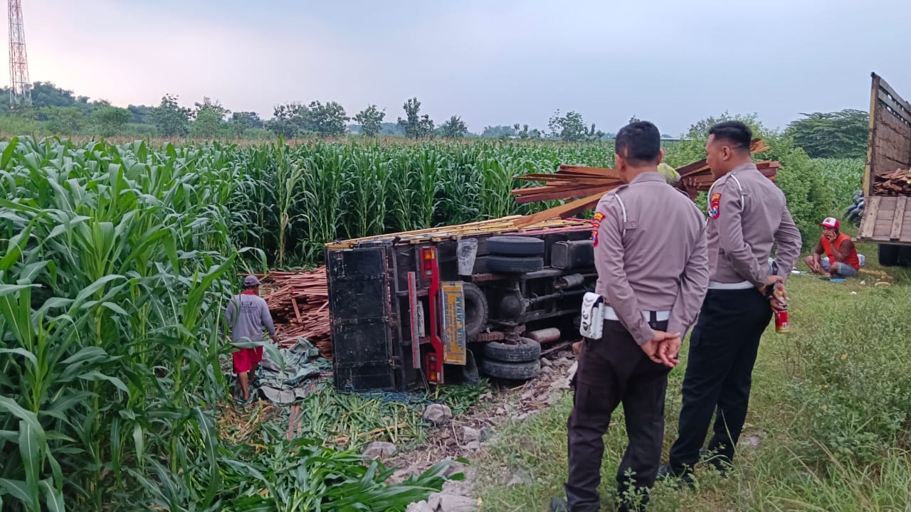 Disalip Mobil Boks, Truk Muatan Kayu Terjun Sawah di Jombang, Begini Penampakannya