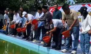 10 Ribu Benih Ikan Nila Ditebar di Bekas Kolam Renang di Jombang