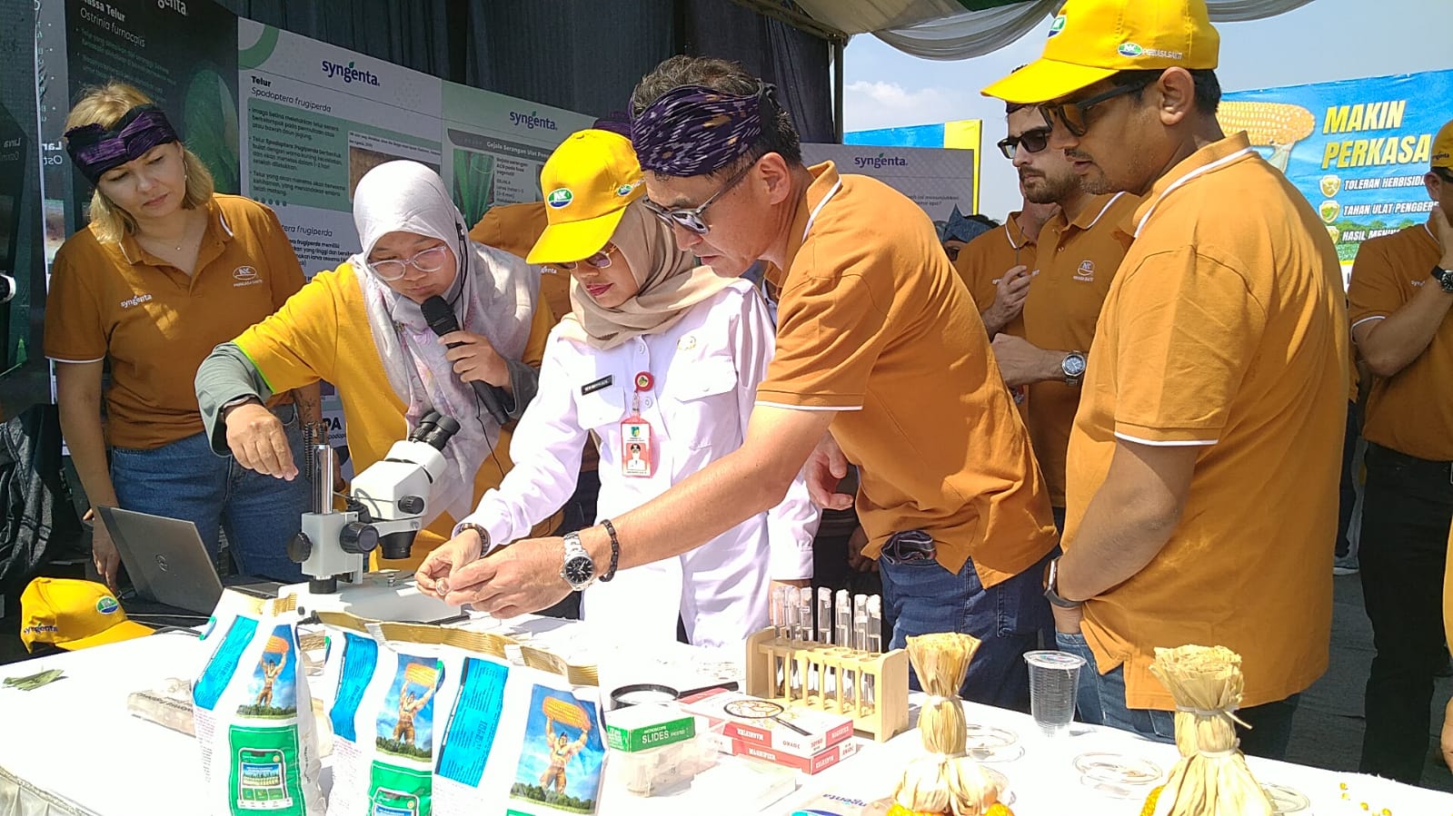 Panen Maksimal, Benih Jagung Tahan Musim Kemarau Diluncurkan di Kediri