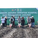 Polda Jatim Tanam Jagung di Nganjuk, Dukung Target Nasional 10 Juta Ton