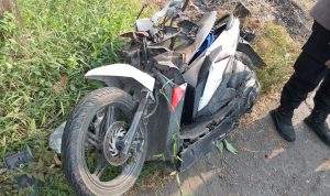 Warga Perak Tewas Tabrak Pohon di Pinggir Jalan Raya Jombang