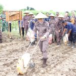Jaksa Kediri Tanam Jagung di Lahan Rampasan Negara, Ini Tujuannya