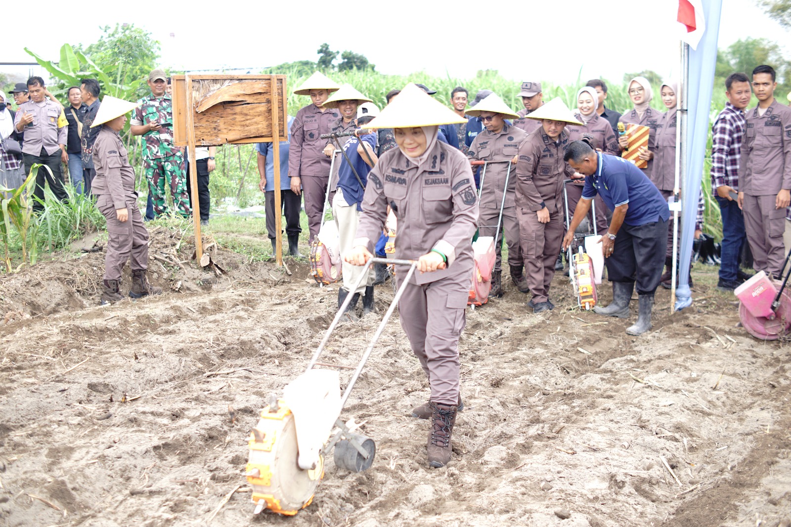 Jaksa Kediri Tanam Jagung di Lahan Rampasan Negara, Ini Tujuannya