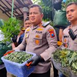IMG-20251215-WA0036 Gempar! Polisi Gerebek Kebun Ganja Dalam Rumah Kontrakan di Jombang