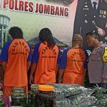 tersangka ganja Mojongapit 4 Orang Jadi Tersangka Kasus Kebun Ganja di Kontrakan Jombang, Ini Identitas dan Perannya