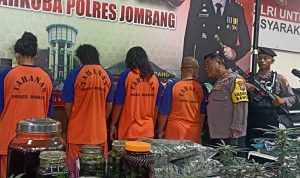 tersangka ganja Mojongapit 4 Orang Jadi Tersangka Kasus Kebun Ganja di Kontrakan Jombang, Ini Identitas dan Perannya