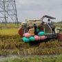 Memasuki Panen Raya 2026, Petani di Kediri Diimbau Tidak Buru-buru Memanen Padi