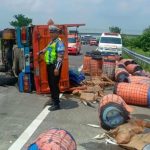 Truk Terguling di Tol Jombang, Puluhan Drum Ikan Segar Tercecer