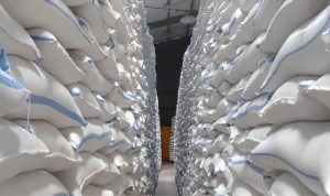 Stok Beras Kediri Capai 82.830 Ton untuk 14 Bulan, Terjaga di Tengah Ancaman El Nino