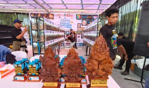 Kontes Ikan Molly Perdana di Kediri, Dongkrak Ekonomi dan Libatkan Peserta Nasional