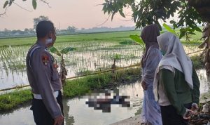 Warga Temukan Mayat Kakek Mengapung di Sungai Gongseng Jombang, Ini Identitasnya